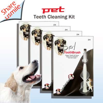 Products in Demand 2020 Dog Dental Care Products Innovations Pet Accessories Kit Tooth Cleaning Toothbrush