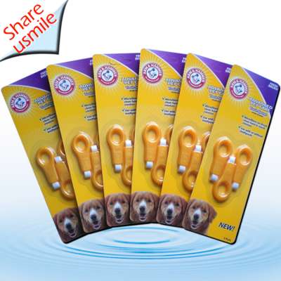 Dental Products For Dogs China Teeth Whitening Best product from share nano